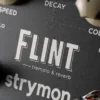 Strymon | Flint V2 Tremolo & Reverb | 經典顫音殘響雙引擎