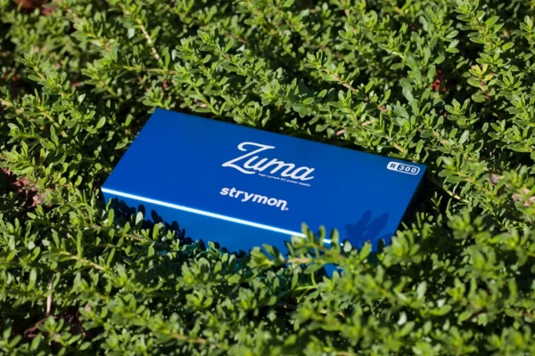 r300-eco Strymon | Zuma R300 High Current Power Supply | 交換式 萬用電壓 電供