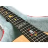 AD-22AC-fretboard_inlay Naga | AD-22AC | Andres Godoy 簽名款 AC桶身