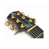 Naga | AD-22AC | Andres Godoy 簽名款 AC桶身