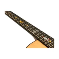 Naga | AD-22AC | Andres Godoy 簽名款 AC桶身