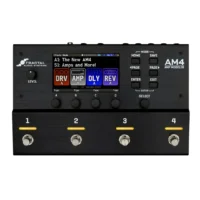 Fractal Audio  AM4 頂級音箱模擬器