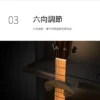 LENTHEM DMI-305DT 吉他防潮箱 防潮櫃