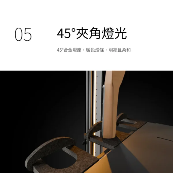 LENTHEM DMI-305DT 吉他防潮箱 防潮櫃