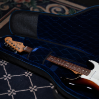 Reunion Blues | RBC23E1 Expedition 系列 | 專業防護電吉他袋