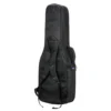 RBX2E_backpack Reunion Blues | RBX-2E RBX 系列 | 雙琴收納電吉他袋