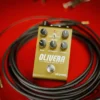 Strymon | OLIVERA Oil Can Echo | 類比油罐回音效果器