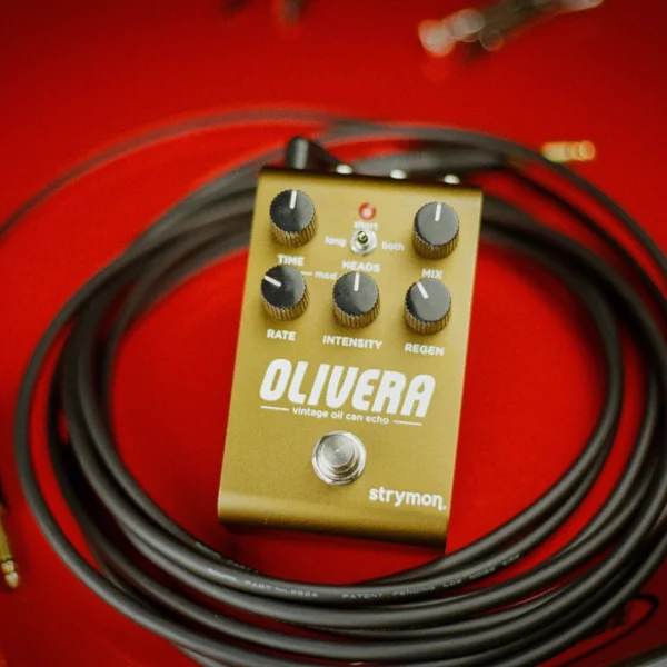 Strymon | OLIVERA Oil Can Echo | 類比油罐回音效果器
