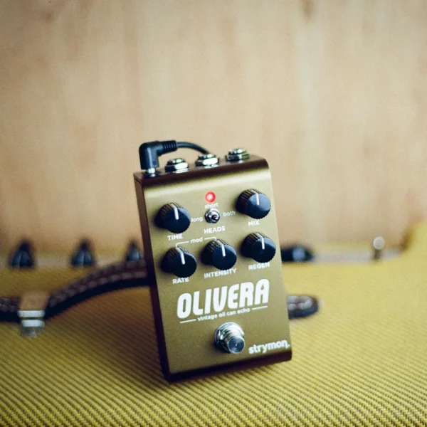 Strymon | OLIVERA Oil Can Echo | 類比油罐回音效果器