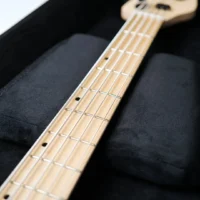 B80K-PADDING01 QUANTUM | B80K | 專業巡演貝斯琴袋