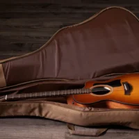 Taylor 112ce Special Edition Honeyburst 電木吉他