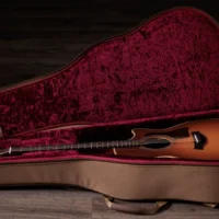 Taylor 414ce Studio Special Edition Honeyburst 電木吉他