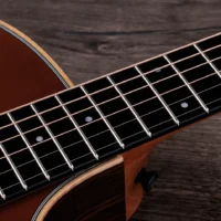Taylor 414ce Studio Special Edition Honeyburst 電木吉他