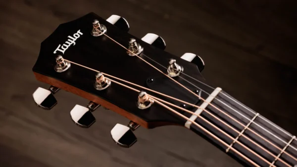 Taylor 414ce Studio Special Edition Honeyburst 電木吉他