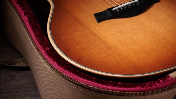 Taylor 414ce Studio Special Edition Honeyburst 電木吉他