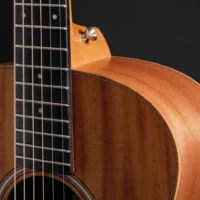 Taylor GS Mini Mahogany 木吉他