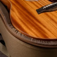 Taylor GS Mini Mahogany 木吉他