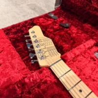 IMG_7823 James Tyler USA Studio Elite HD Alien Guano 美廠電吉他